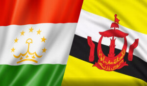 Virtual meeting of Ambassador with Director of the Department of Asia Africa of the Ministry of Foreign Affairs of Brunei Darussalam