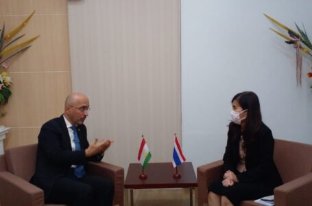 Meeting of Ambassador with the Deputy Permanent Secretary of the Ministry of Culture of Thailand