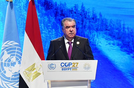 Speech at the 27th Conference of the Parties to the United Nations Framework Convention on Climate Change (COP27)