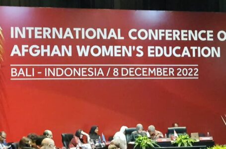 Ambassador of Tajikistan participated in International Conference on Afghan´ s women education (ICAWE) in Indonesia.