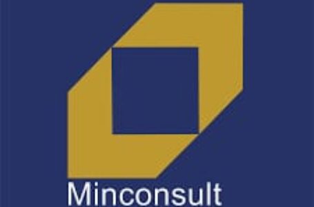 Meeting of the Ambassador with CEO of Minconsult