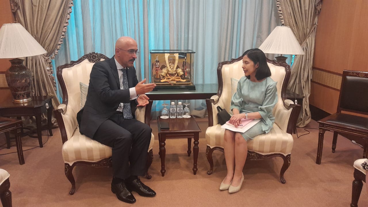 Meetings in the Ministry of Foreign Affairs of the Kingdom of Thailand
