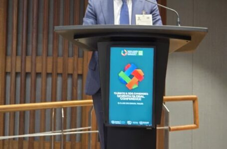 Participation of Tajikistan’s Deputy Minister of Foreign Affairs at the Global Climate and SDG Synergies Conference