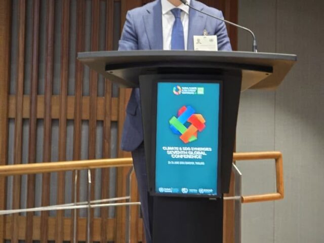 Participation of Tajikistan’s Deputy Minister of Foreign Affairs at the Global Climate and SDG Synergies Conference